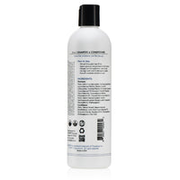 FRAGFRE 2 in 1 Shampoo and Conditioner 12 oz (2-Pack Gift Set) -  Vegan Gluten Free Cruelty Free - Hypoallergenic Sulfate Free Shampoo for Short Hairs